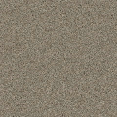 Sandstone carpet swatch